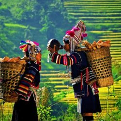 Myanmar