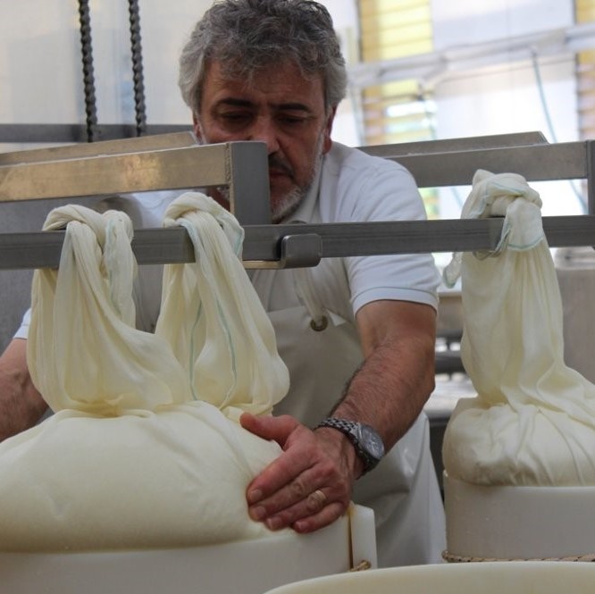 Culinary Bologna