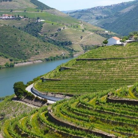 Jeep Safari Race Douro Valley